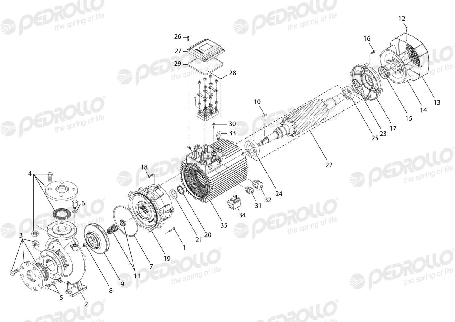 Despiece Pedrollo F 65/200B · 220/380V · versión Sin letra