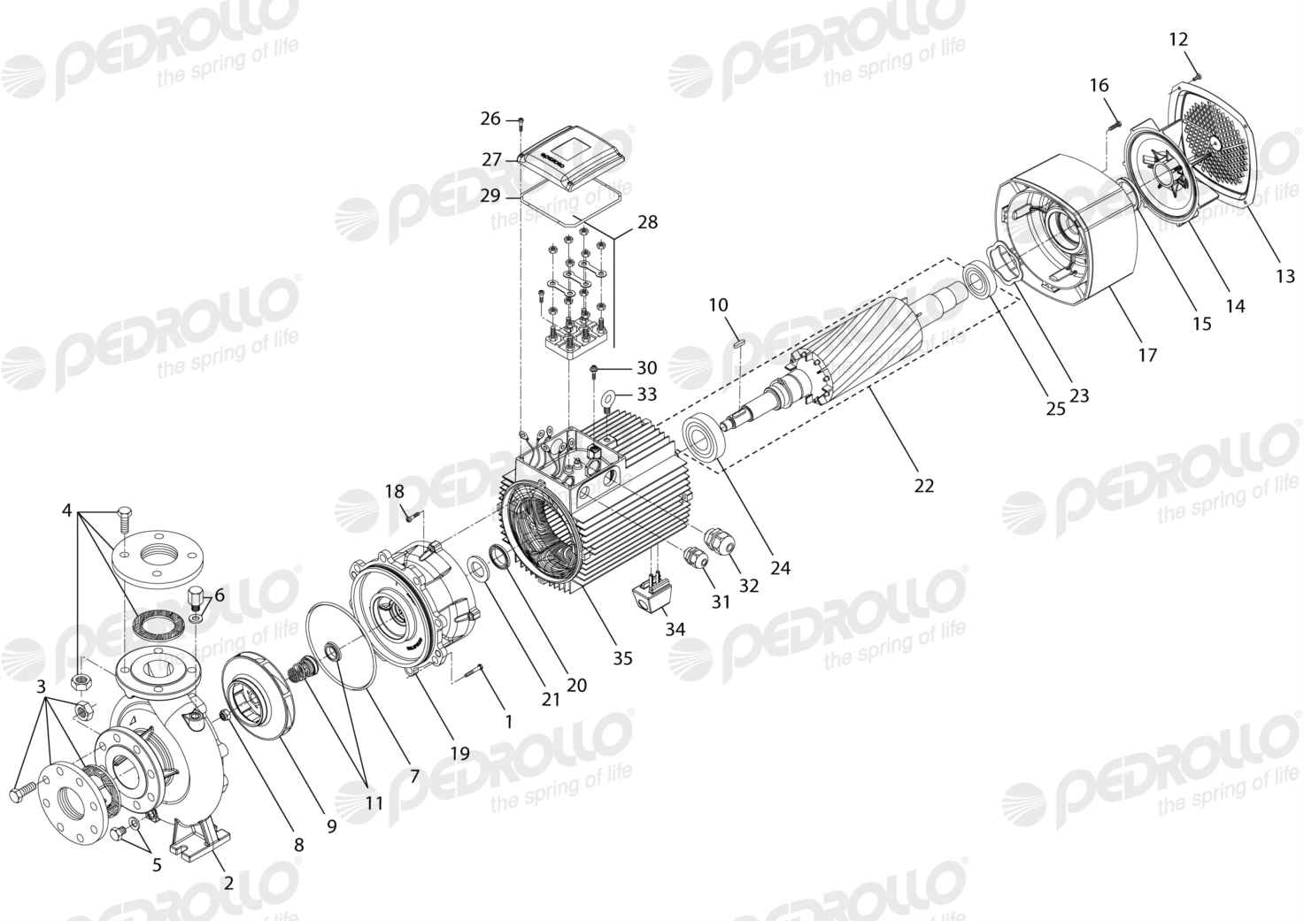 Despiece Pedrollo F 65/200AR · 220/380V · versión Sin letra