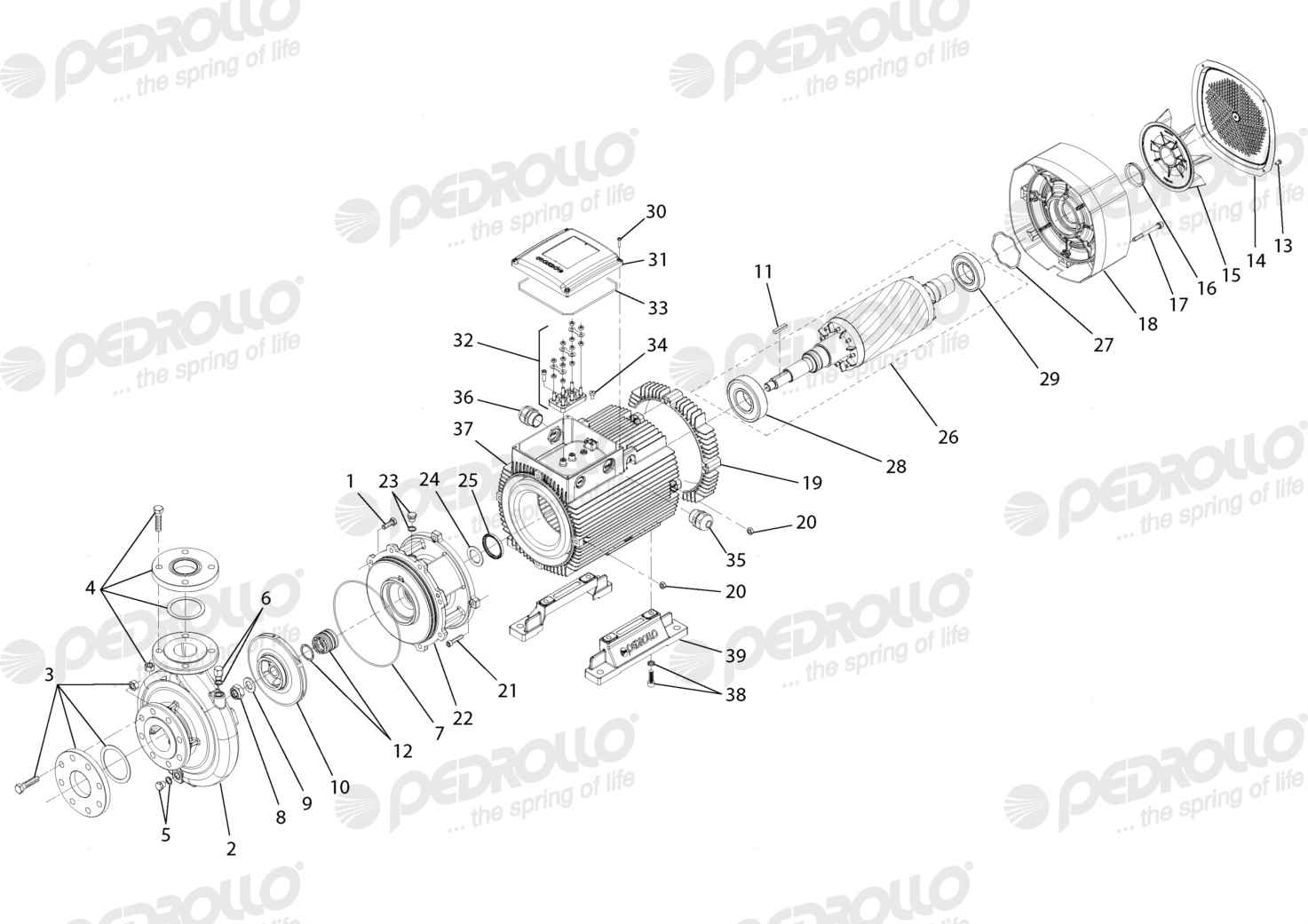 Despiece de la Pedrollo F 65/250A