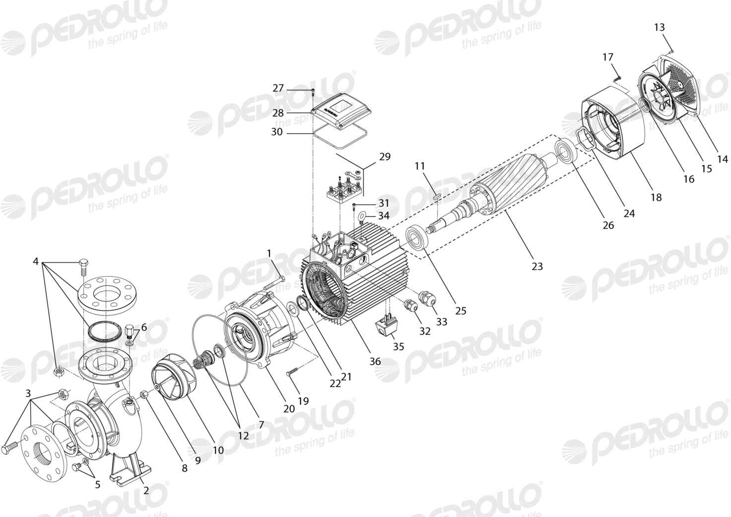 Despiece Pedrollo F 80/160A · 220/380V · versión Sin letra
