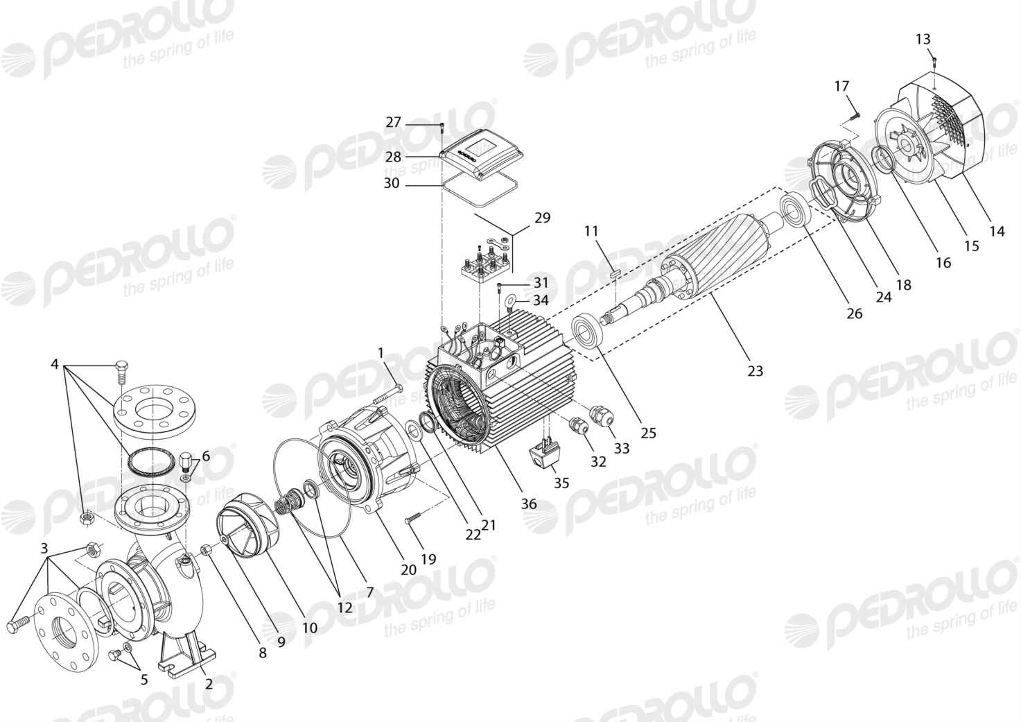Despiece Pedrollo F 80/160D · 220/380V · versión Sin letra