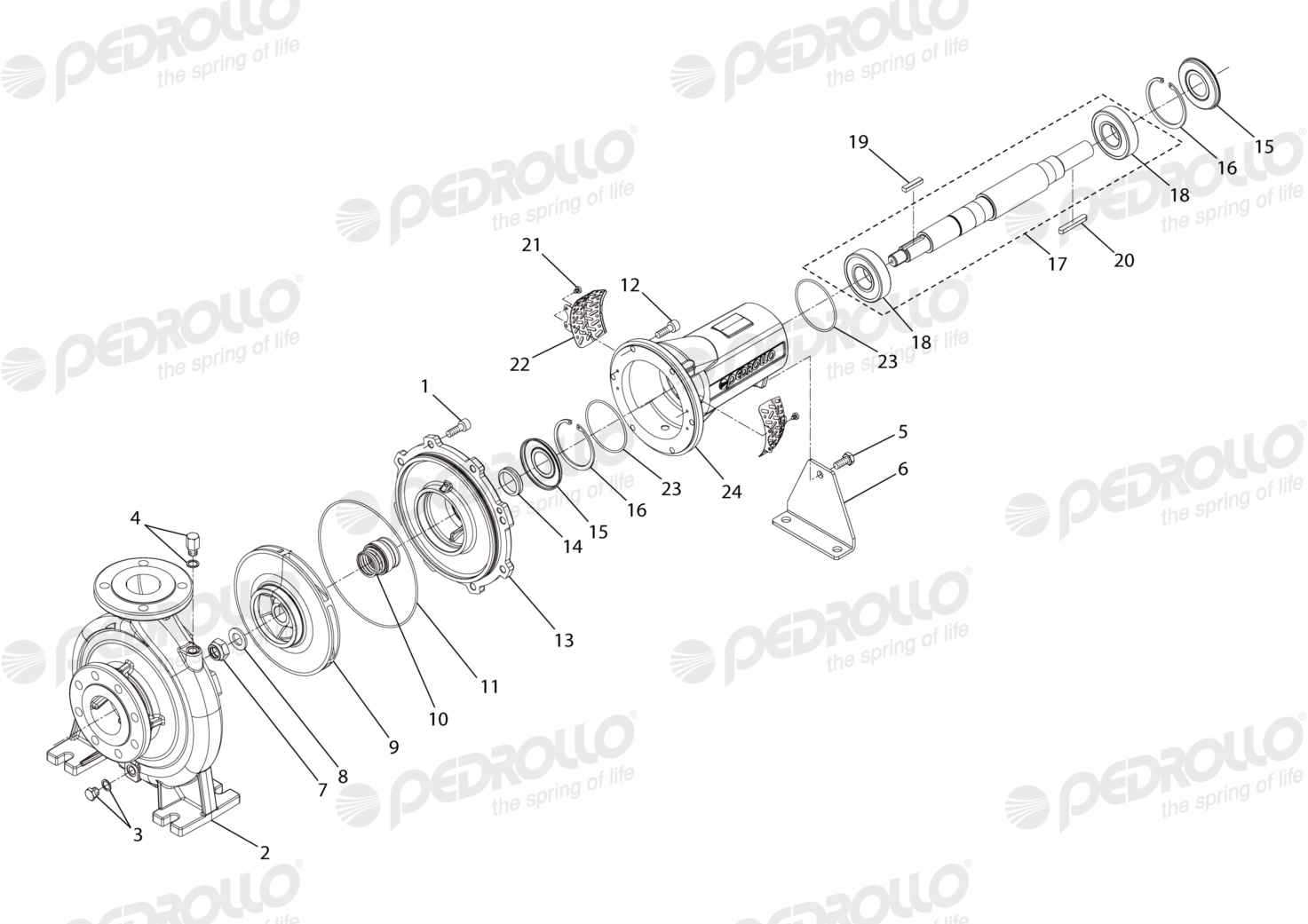 Despiece de la Pedrollo FG 65/250A