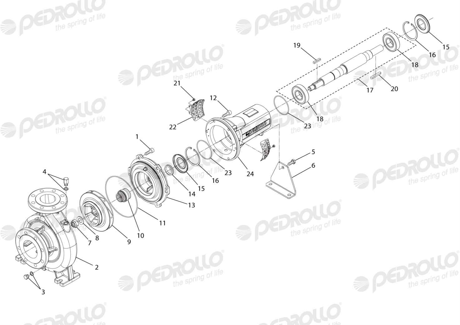 Despiece Pedrollo FG 80/200A · versión Sin letra