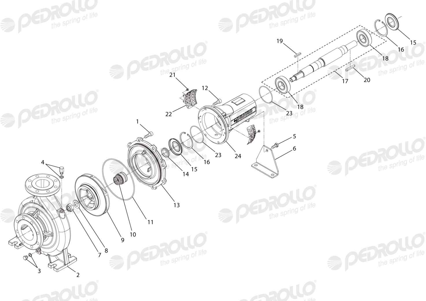 Despiece de la Pedrollo FG 80/250A
