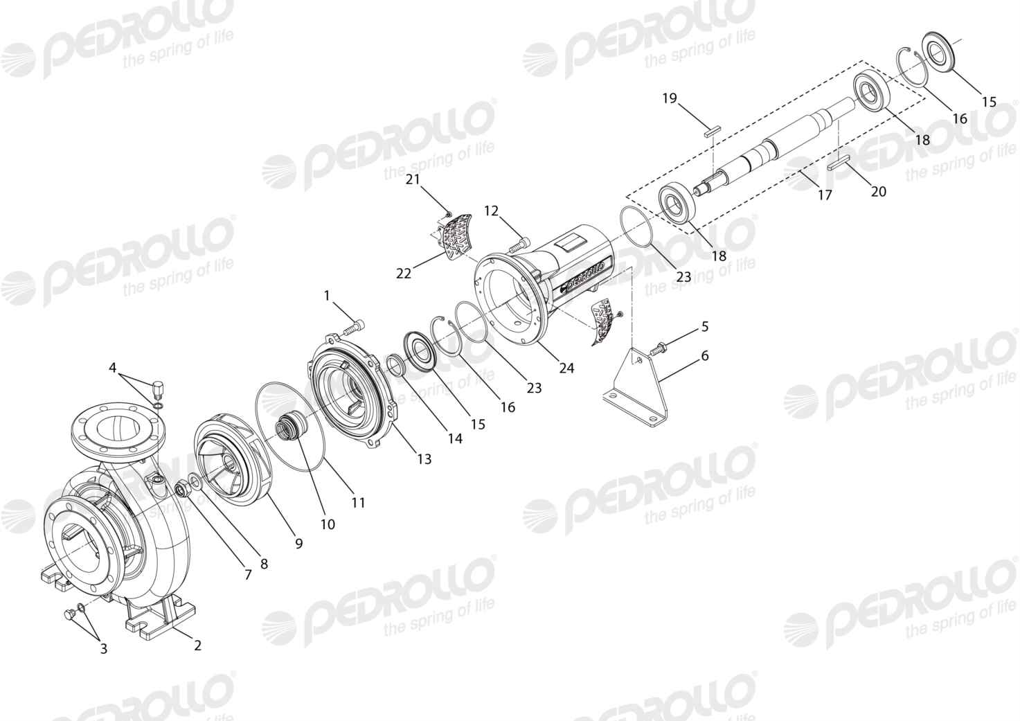 Despiece de la Pedrollo FG 100/200A