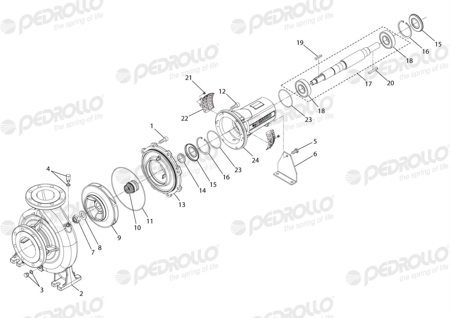 Despiece de la Pedrollo FG 100/250A