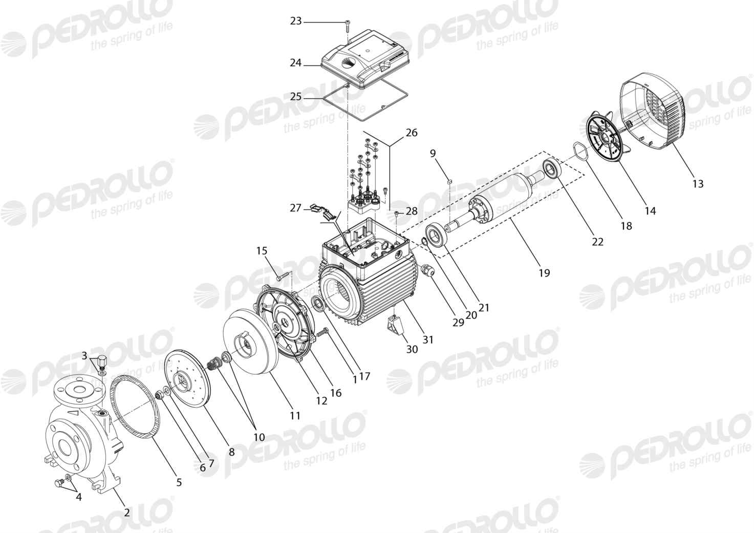 Despiece Pedrollo F 32/160B · 220/380V · versión I