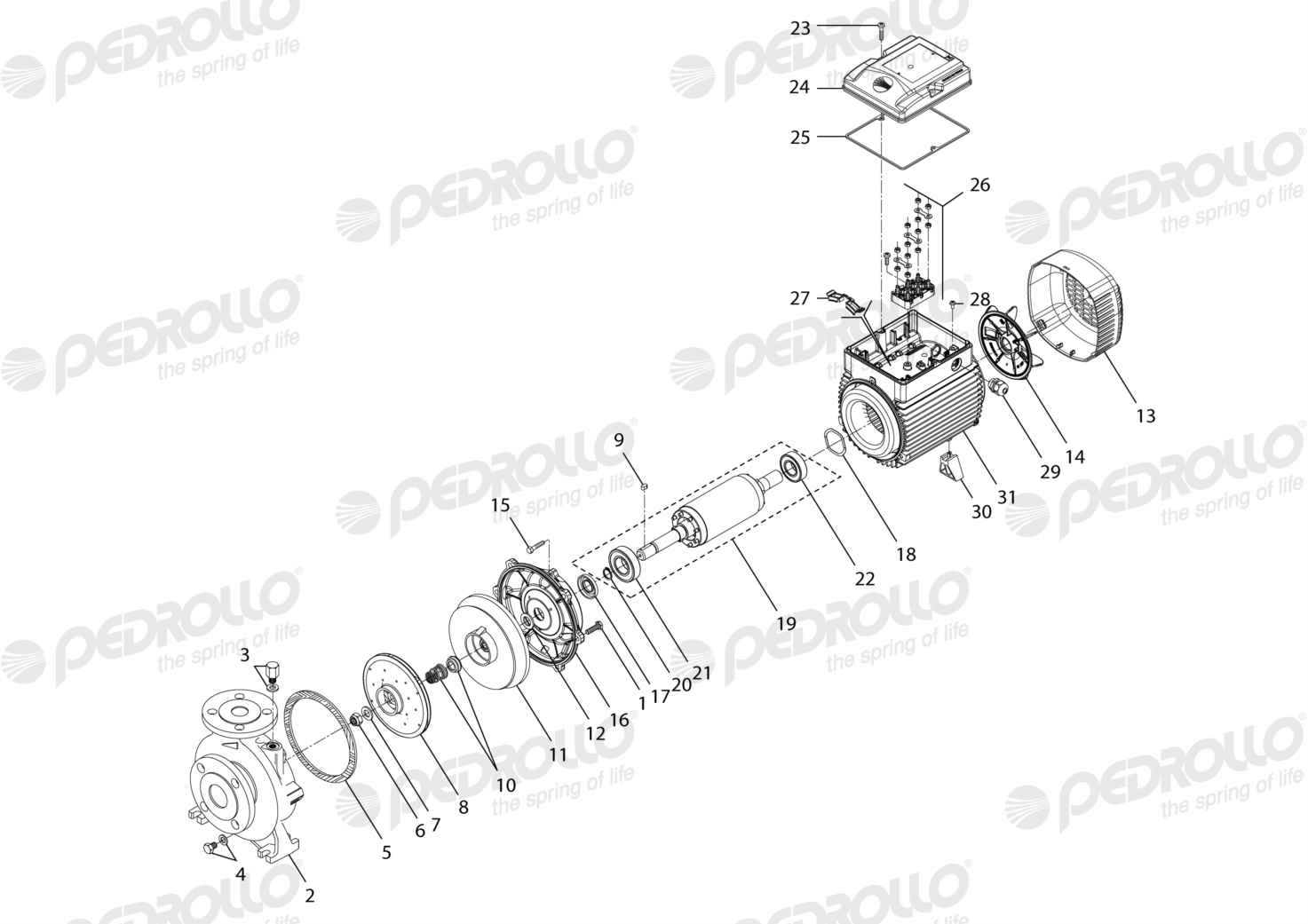 Despiece Pedrollo F 32/160B · 220/380V · versión K