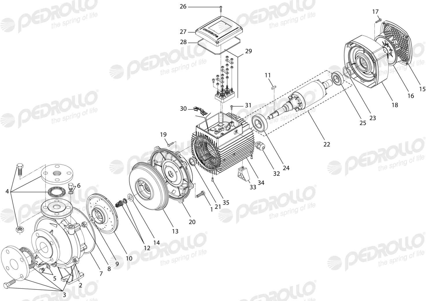Despiece Pedrollo F 32/200B · 220/380V · versión D