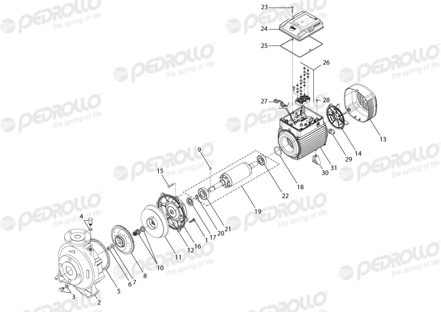 Despiece Pedrollo F 40/160C · 220/380V · versión E