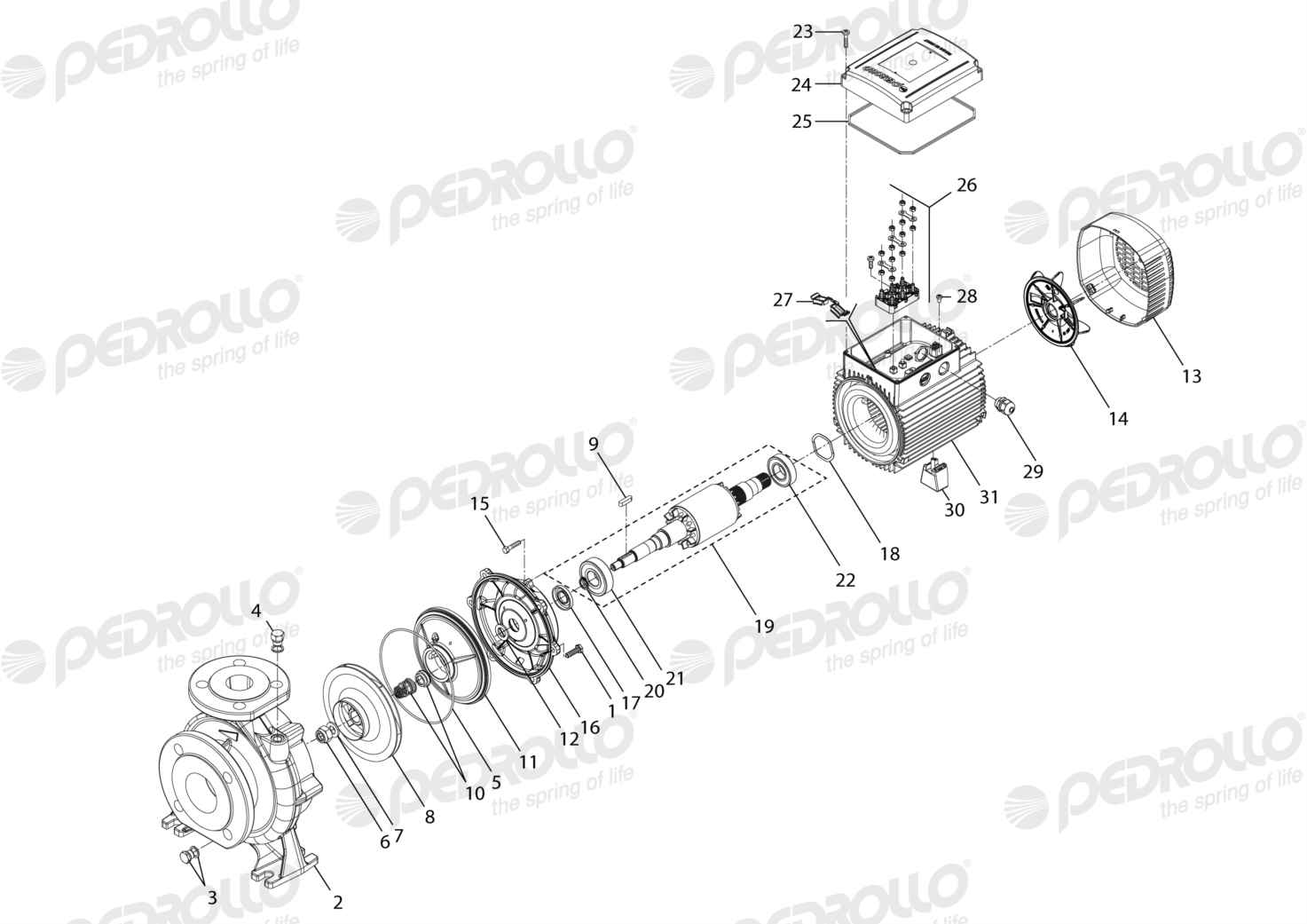 Despiece de la Pedrollo F 40/160C