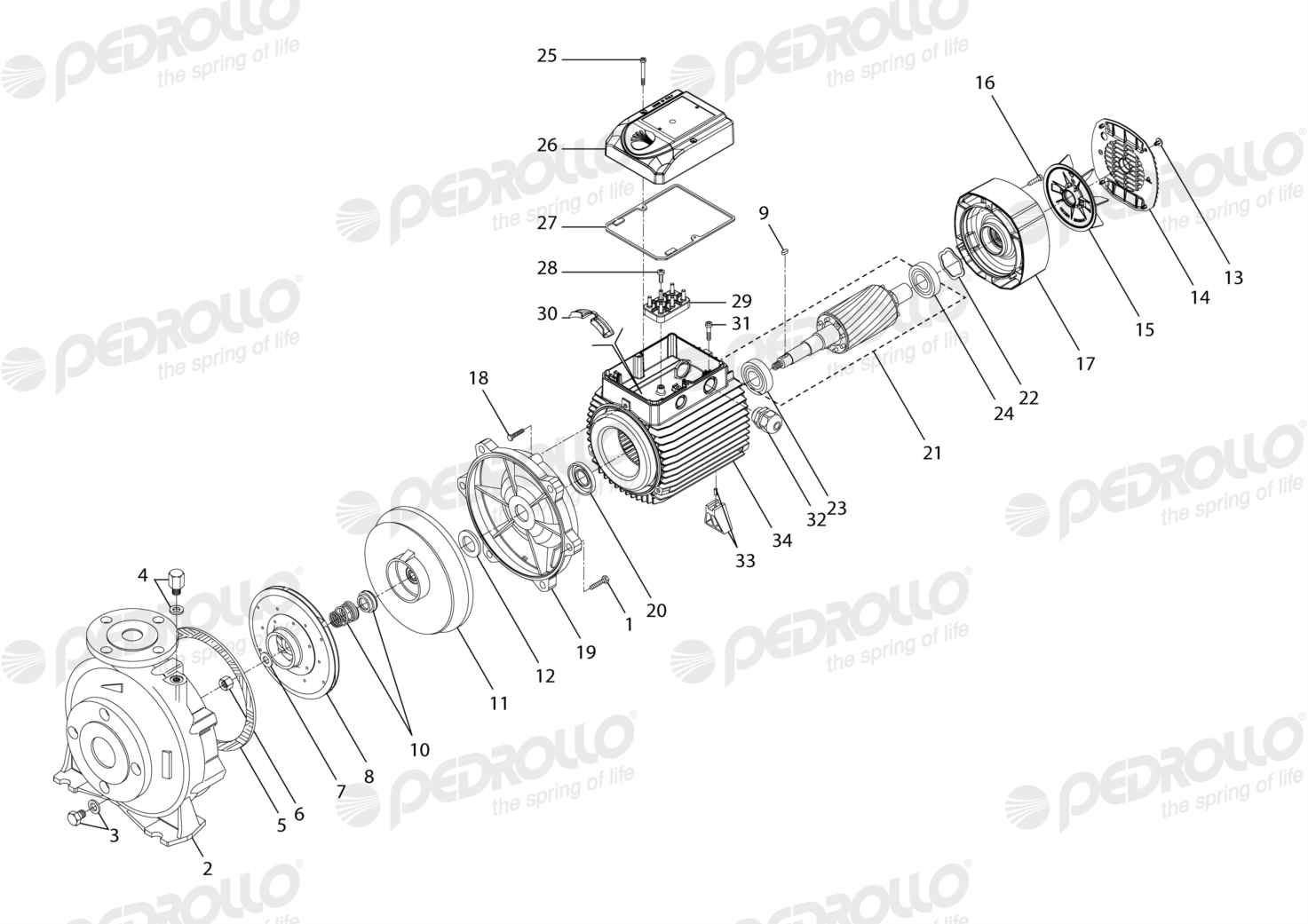 Despiece Pedrollo F 40/160B · 220/380V · versión E