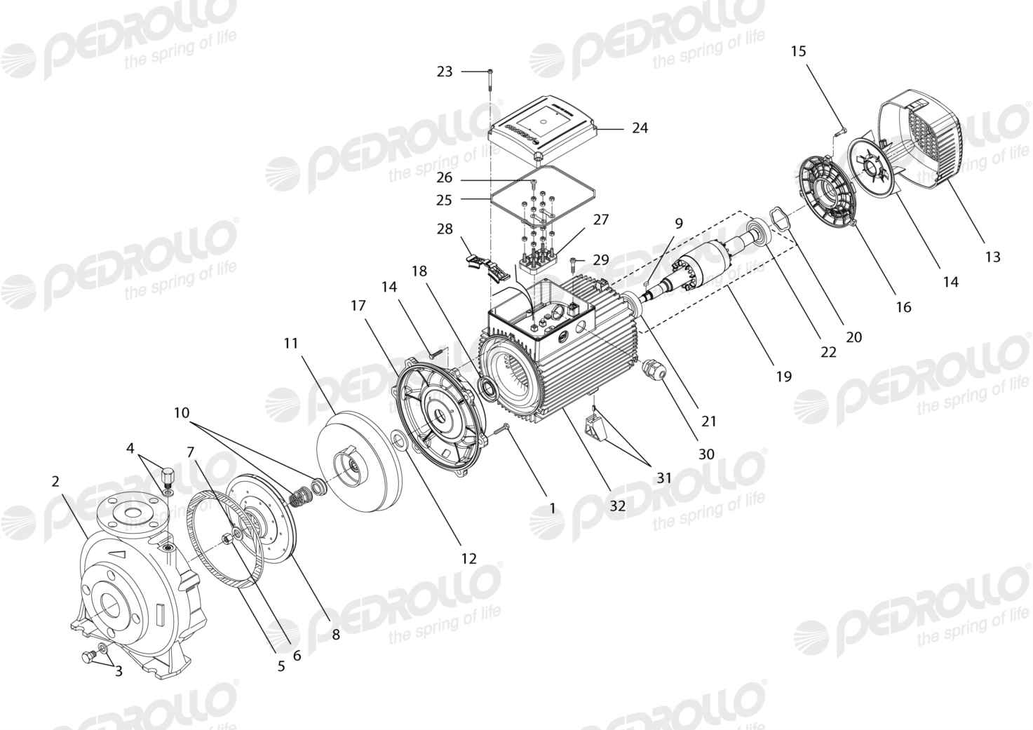 Despiece Pedrollo F 40/160B · 220/380V · versión H