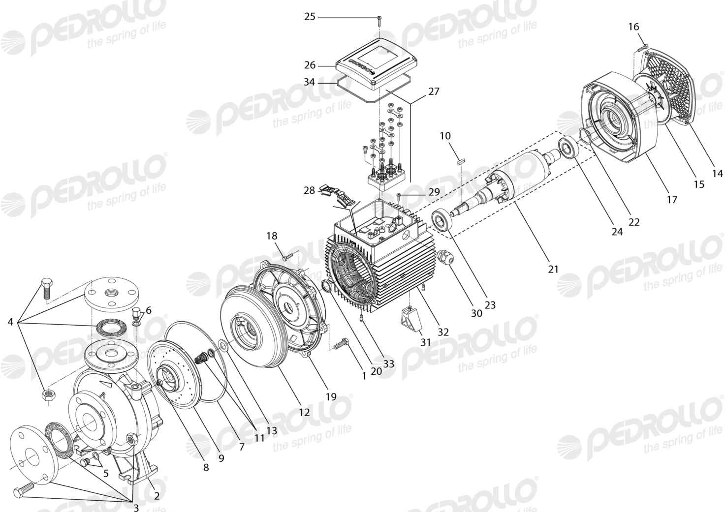 Despiece Pedrollo F 40/160A · 220/380V · versión B