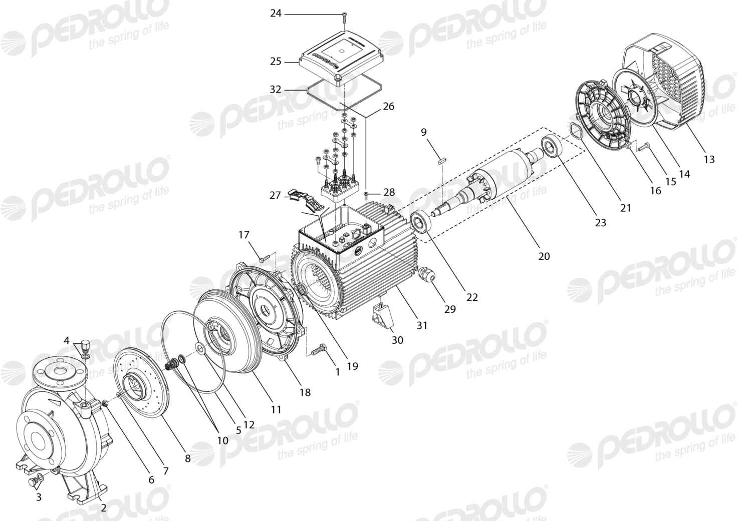 Despiece Pedrollo F 40/160A · 220/380V · versión E