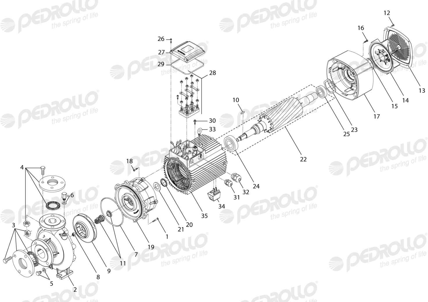 Despiece Pedrollo F 50/200AR · 220/380V · versión Sin letra
