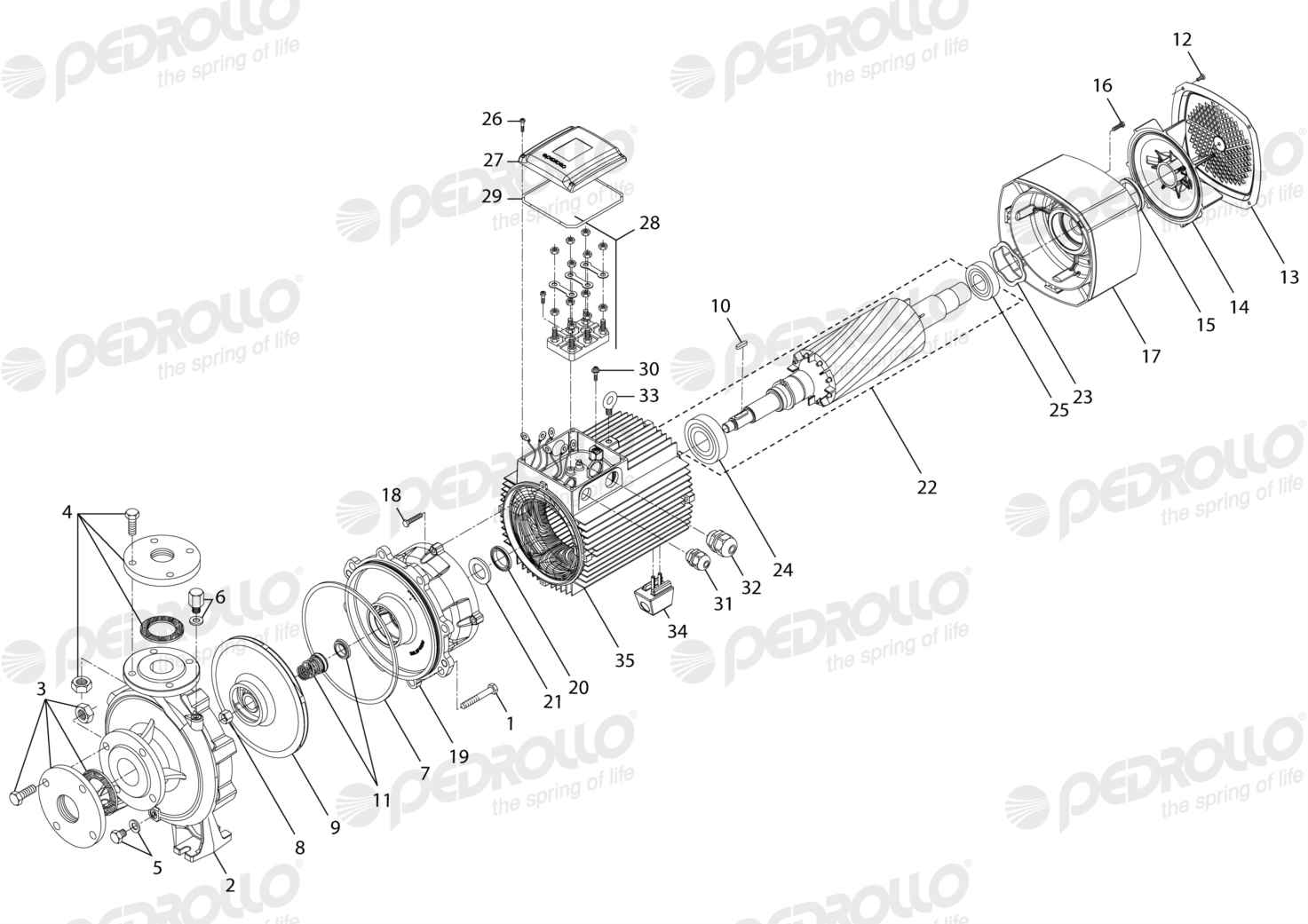 Despiece Pedrollo F 50/250AR · 220/380V · versión A