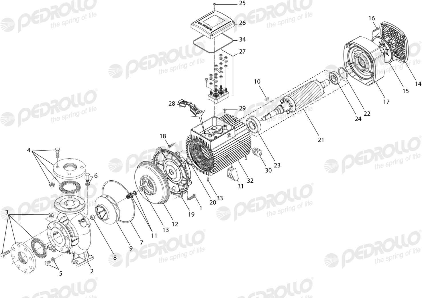 Despiece Pedrollo F 65/125A · 220/380V · versión Sin letra