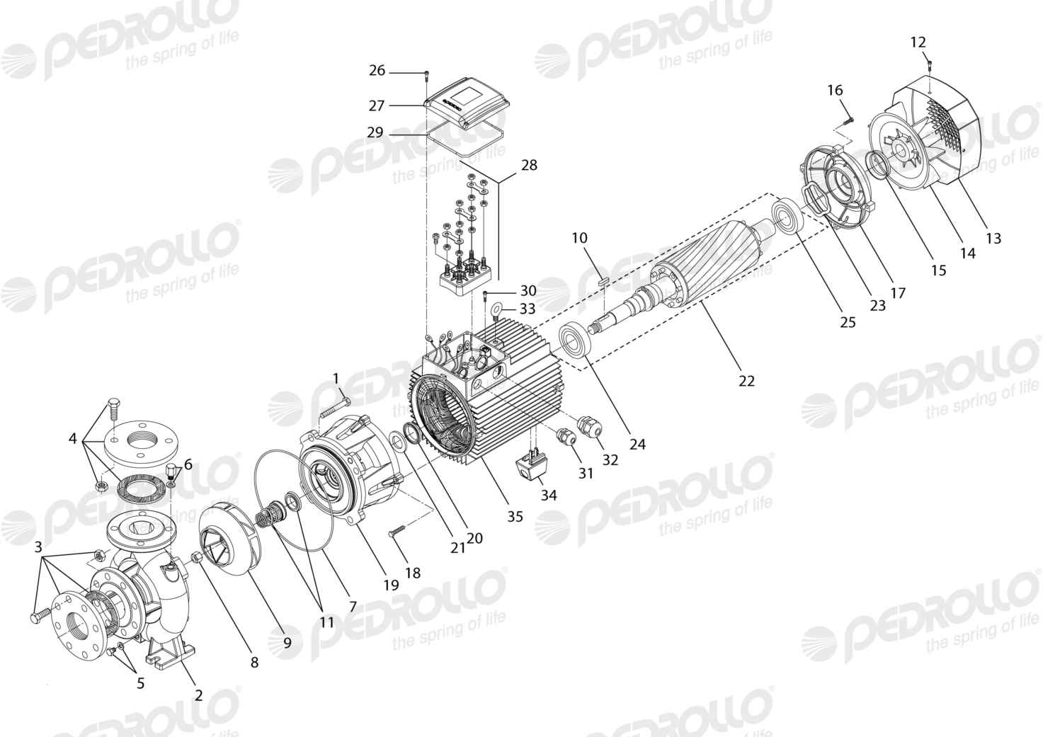 Despiece Pedrollo F 65/160B · 220/380V · versión Sin letra
