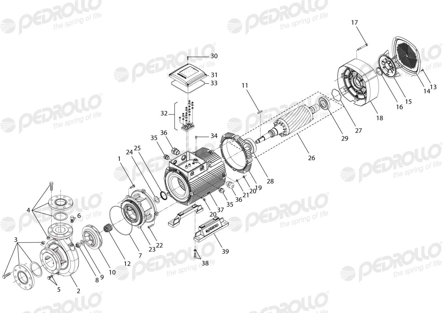 Despiece Pedrollo F 80/200A · 220/380V · versión Sin letra